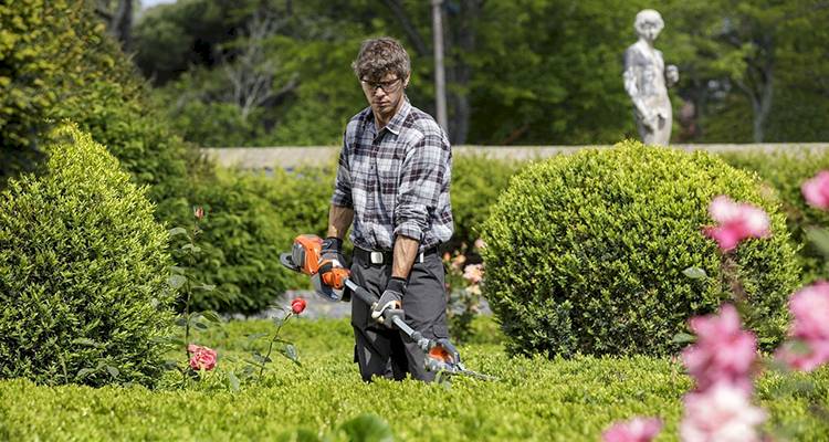 person using a hedge trimmer to maintain a garden in the UK