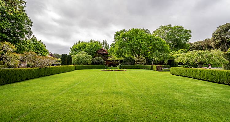 example of a large garden in the UK