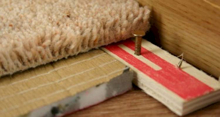 closeup of the gripper rods (carpet grippers) during new carpet installation