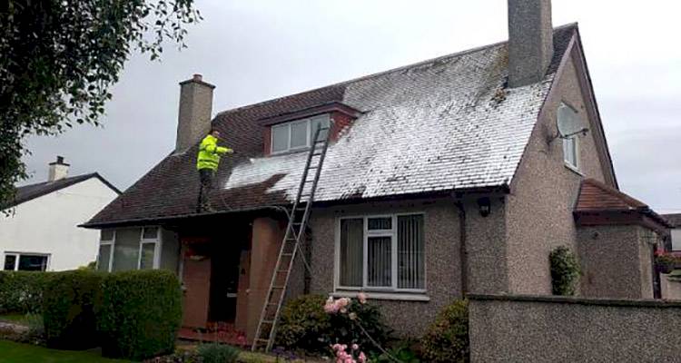 roof cleaning costs
