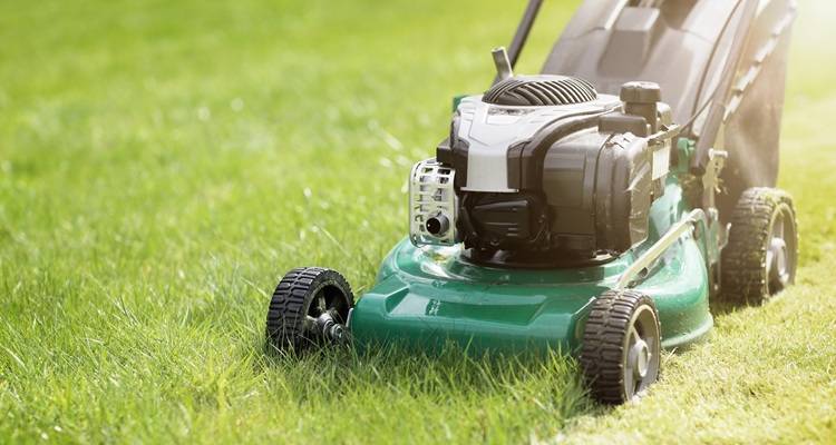 lawn mover cutting grass