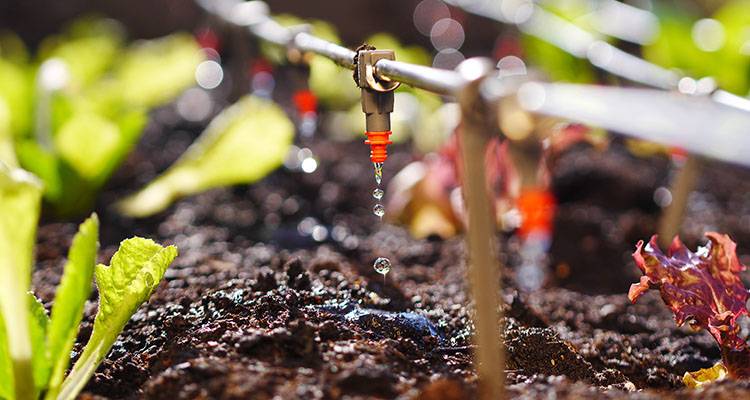 drip irrigation system