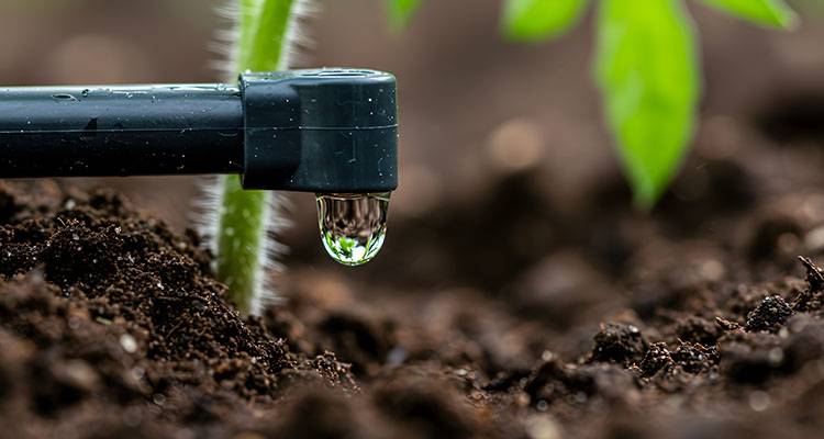 drip irrigation system