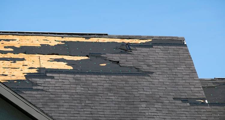 dark roof large repair
