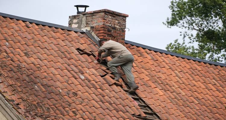 Roofer using a ladder to access a roof