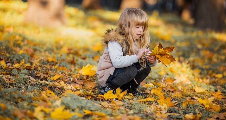 child in autumn leaves
