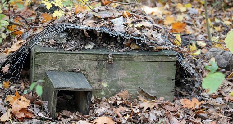wooden hedgehog home