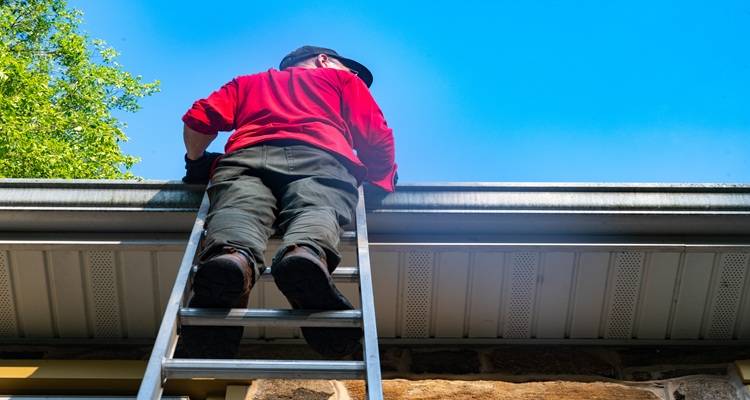 man stood on ladder