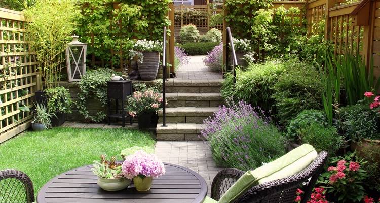 Small garden
