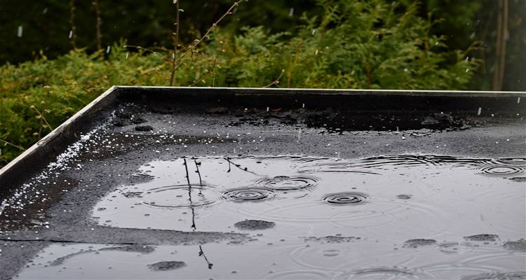 water on a flat roof