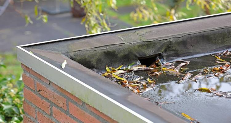 water drainage flat roof