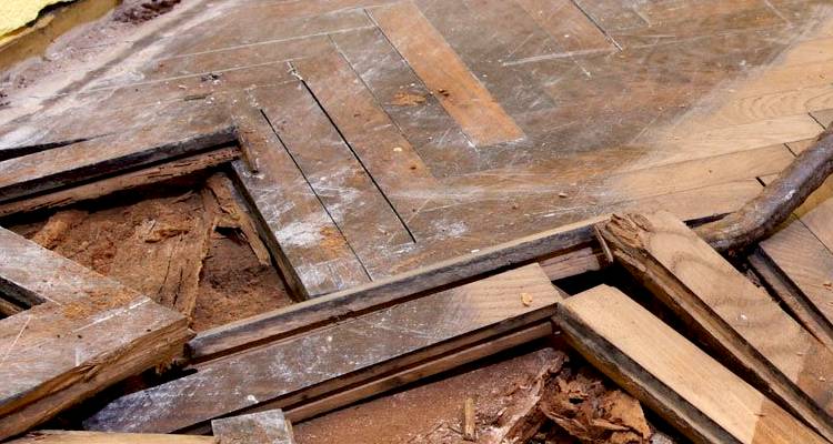 damaged wooden floorboards repair cost
