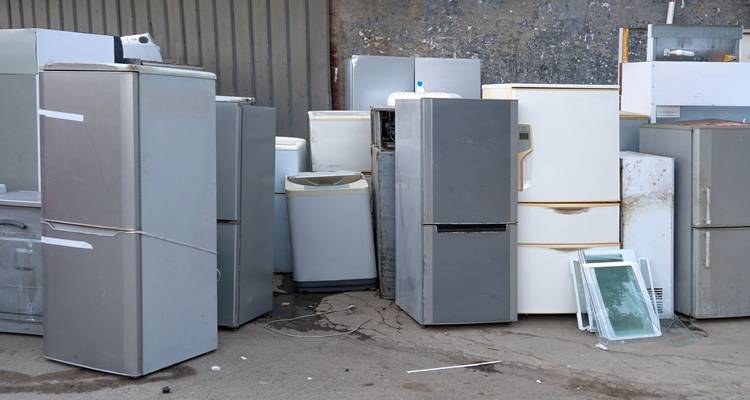 scrap freezers