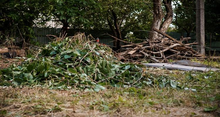 branches cut down in garden