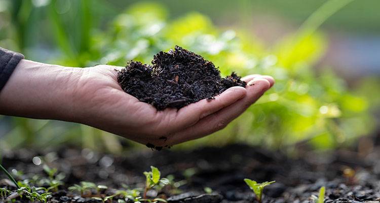 Garden Landscaping: A Few Reasons Why It Works Well