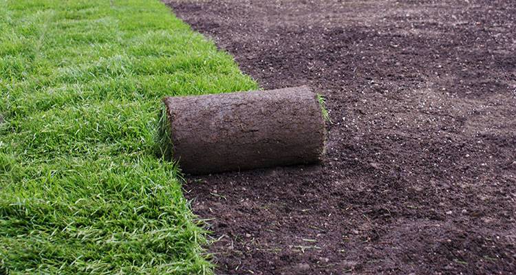 new turf being laid in a garden
