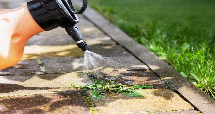 weed killer being sprayed on slab