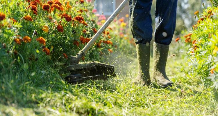 wellies legs strimming grass