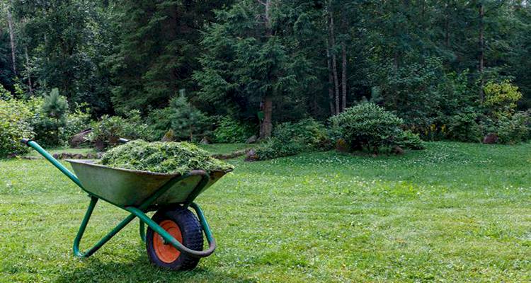 wheelbarrow full of grass clippings