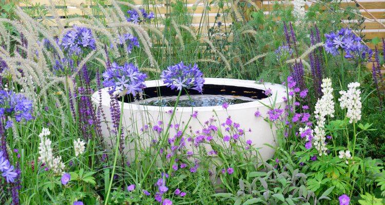 garden pond water features