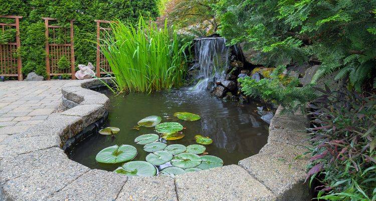 small pond water features