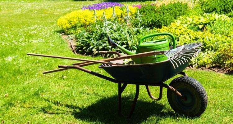 wheelbarrow in garden