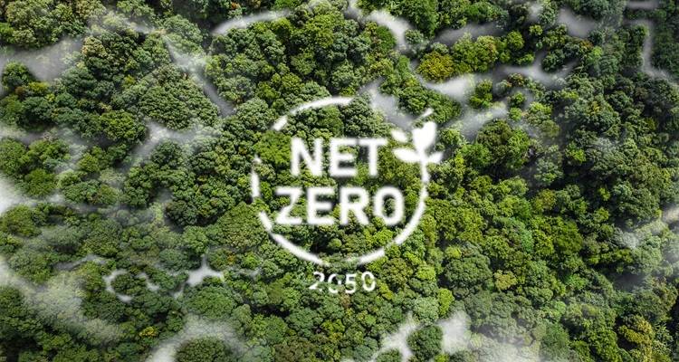 trees net zero