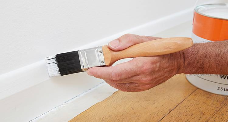 person painting skirting boards