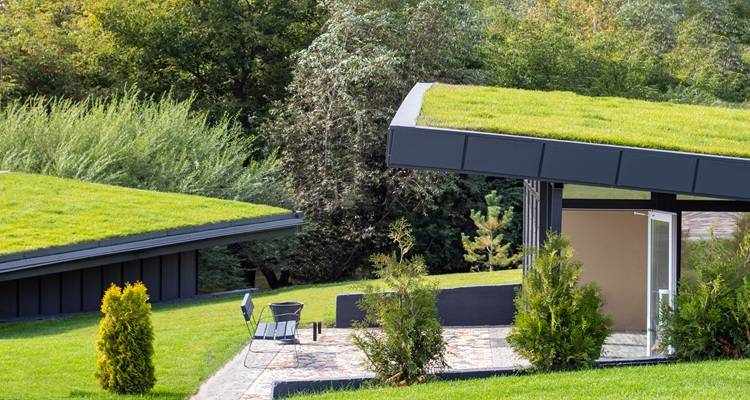 green roof house