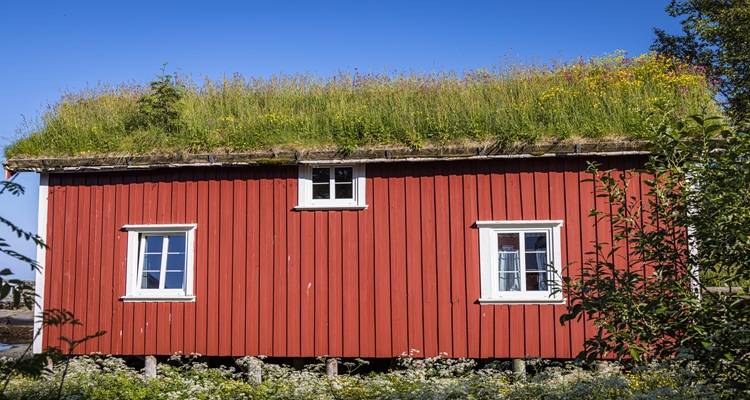 red hut green roof