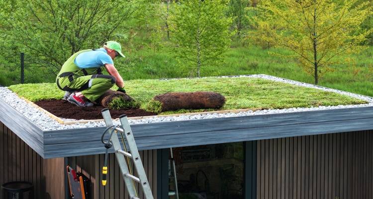 man installing green roof