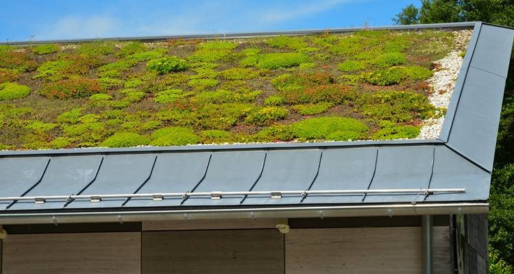 zinc green roof