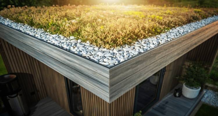 corner of green roof