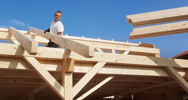 carpenter on roof