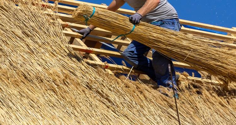 Thatch roofer