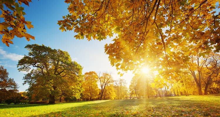 How to Make the Most of Natural Light as the Days Get Shorter