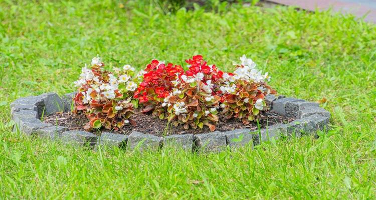 Brick flower bed