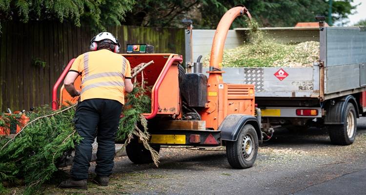 orange T-shirt wood chipper