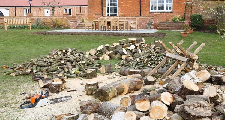 big pile of logs
