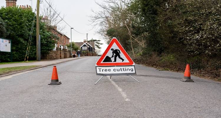 Insurance Requirements for Tree Surgery Businesses