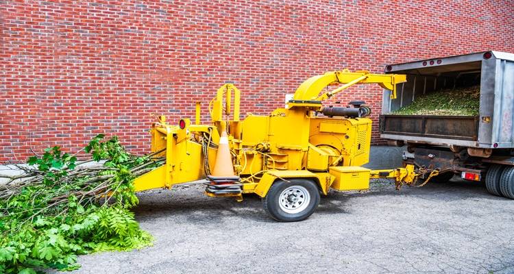 tree surgery equipment chipper