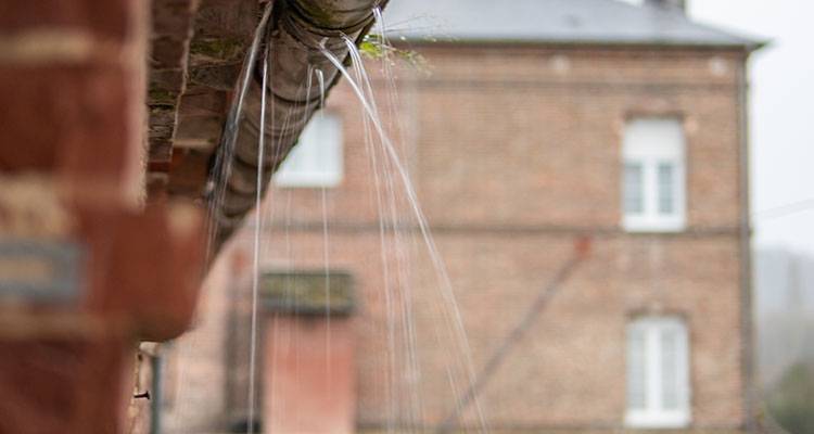 Jobs Homeowners Regret Putting Off Until Summer