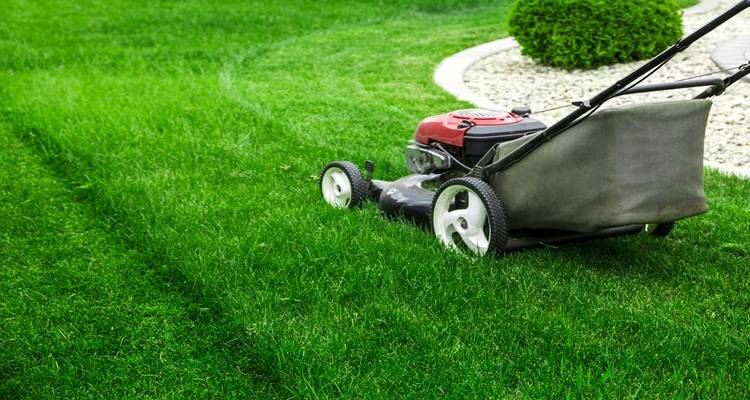 lawn mover curved