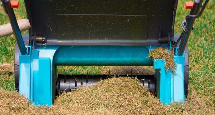 lawn scarifier