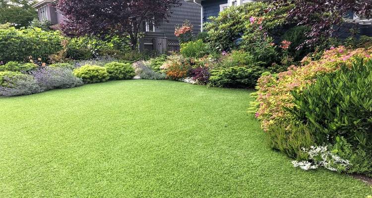 nice lawn garden flowers