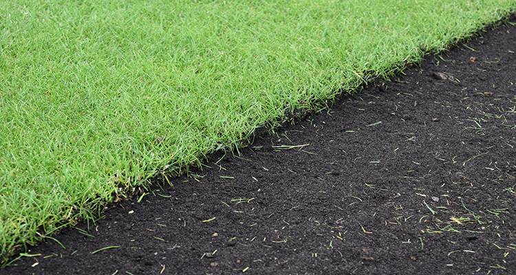freshly laid turf in garden uk