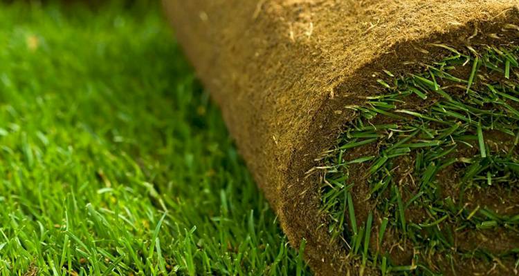 turf laying rolls