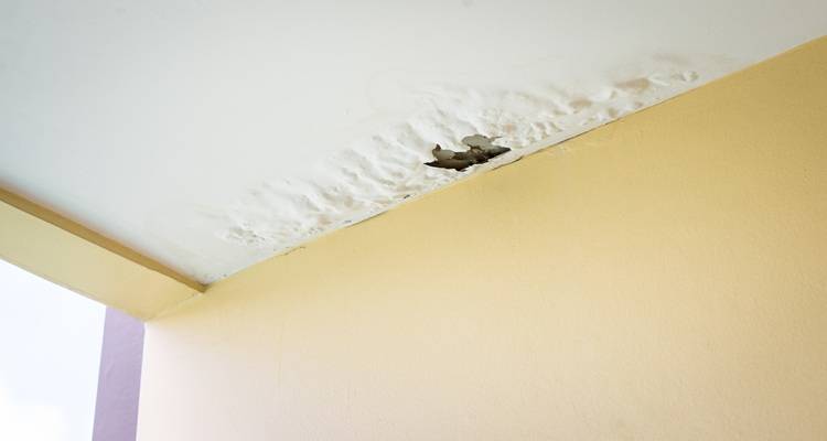 bubbled paint leaky ceiling