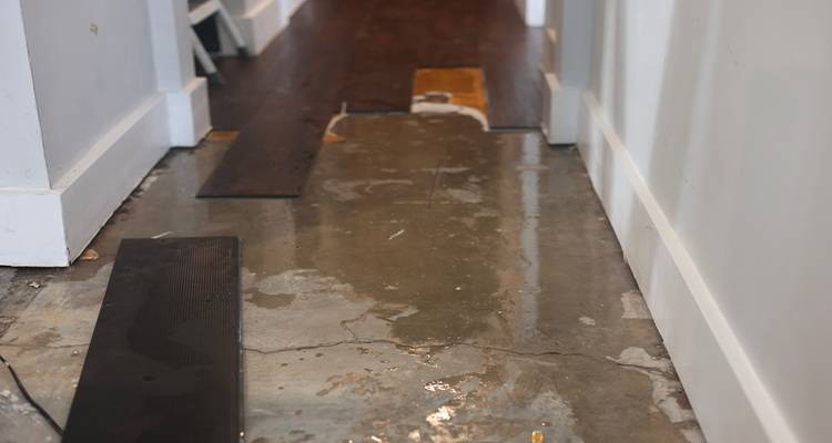 wet hallway