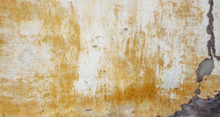 old limewash on a plaster wall